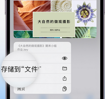 会文镇apple维修中心分享iPhone文件应用中存储和找到下载文件