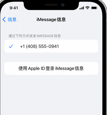 会文镇apple维修iPhone上无法正常发送iMessage信息 