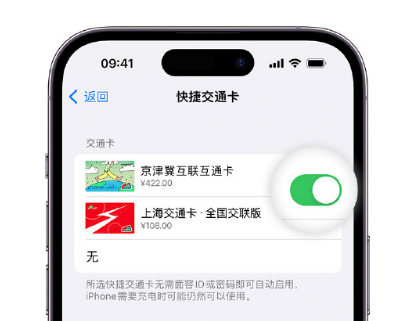 会文镇apple维修点分享iPhone上更换Apple Pay快捷交通卡手绘卡面 