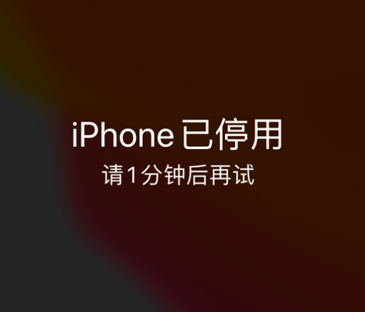 会文镇苹果手机维修分享:iPhone 显示“不可用”或“已停用”怎么办？还能保留数据吗？ 