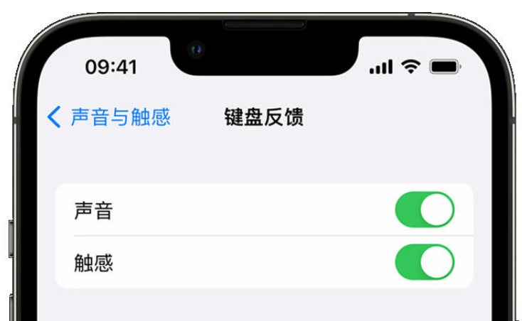 会文镇苹果手机维修分享iPhone 14触感键盘使用方法 