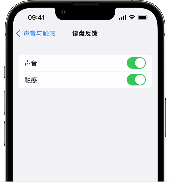 会文镇苹果14维修店分享如何在 iPhone 14 机型中使用触感键盘 