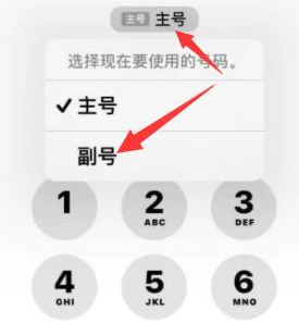 会文镇苹果14维修店分享iPhone 14 Pro Max使用副卡打电话的方法 