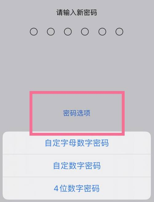 会文镇苹果14维修分享iPhone 14plus设置密码的方法 