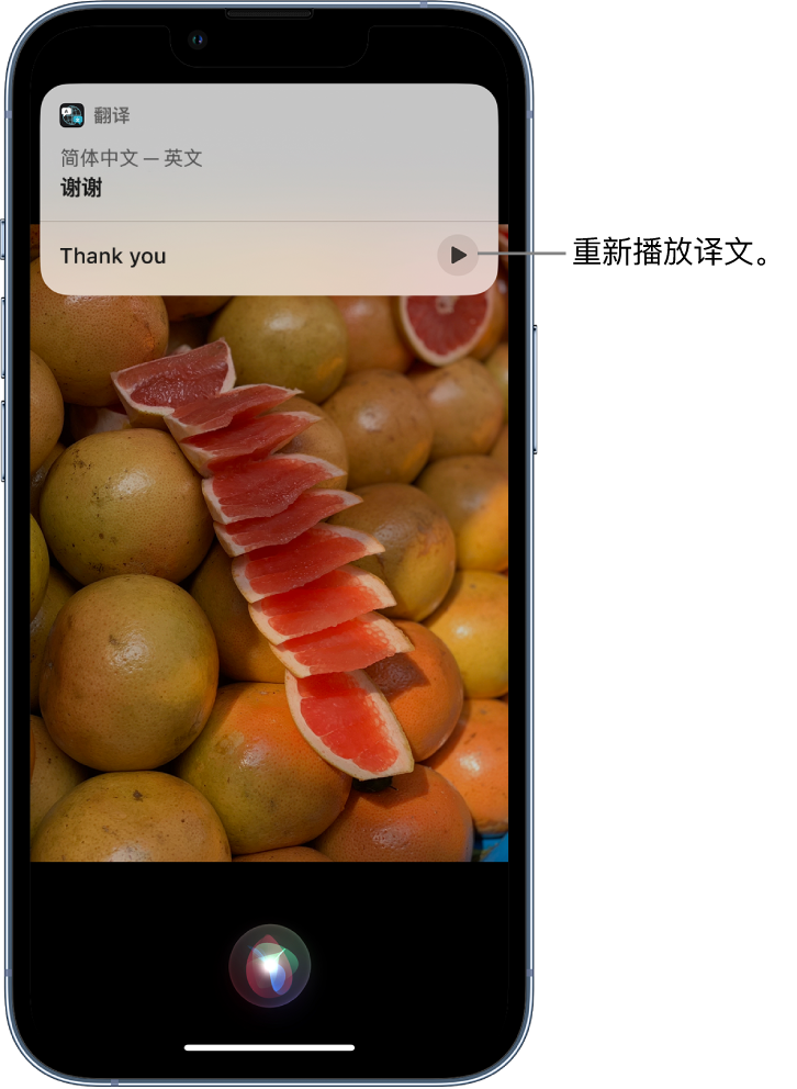 会文镇苹果14维修分享 iPhone 14 机型中使用 Siri：了解 Siri 能帮你做什么 