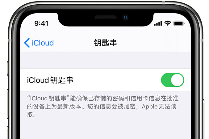 会文镇苹果手机维修分享在 iPhone 上开启 iCloud 钥匙串之后会储存哪些信息 