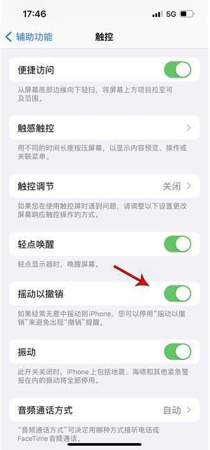 会文镇苹果手机维修分享iPhone手机如何设置摇一摇删除文字 