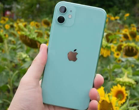 会文镇苹果维修点分享iPhone 11锁屏密码认知与使用科普 