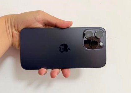 会文镇苹果维修点分享iPhone 14 Pro Max黑屏少见故障盘点 